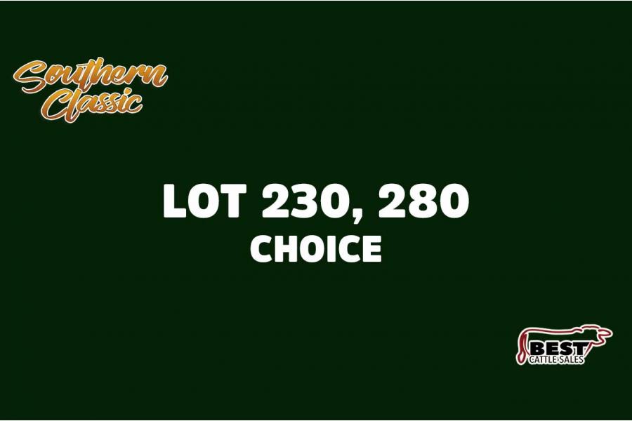 LOT 230, 280 - CLAY ELLISON - CHOICE OR X THE MONEY OF LOTS CHOSEN (A)