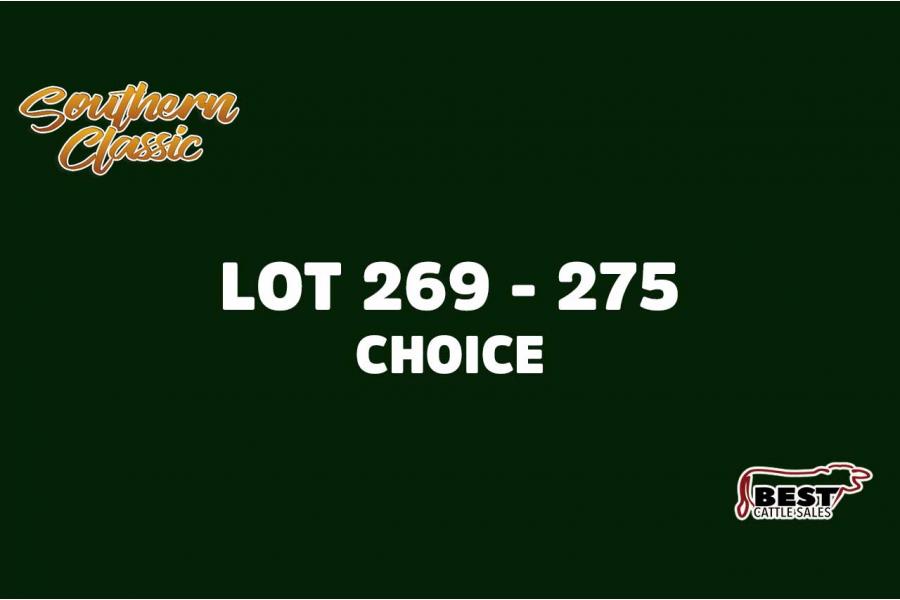 LOT 269 - 275 - 3B CATTLE - CHOICE OR X THE MONEY OF LOTS CHOSEN (E)