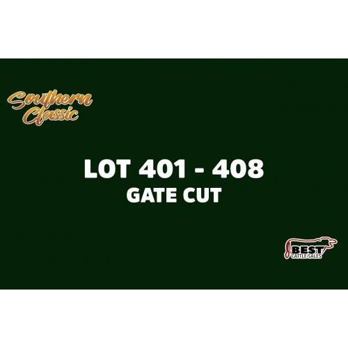 LOT 401 - 408 - X THE MONEY OF LOTS  (A)