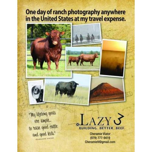 LOT 17 - ONE (I) DAY OF LIVESTOCK PHOTOGRAPHY