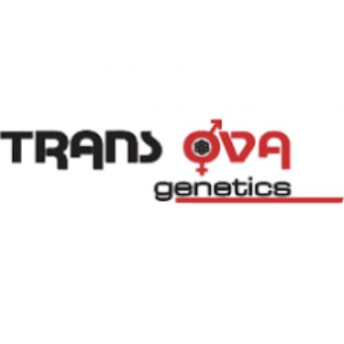 LOT 03 - TRANS OVA GENETICS  - $500 GIFT CERTIFICATE