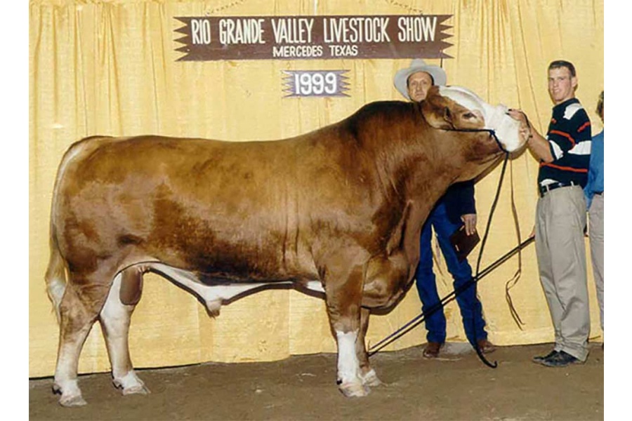 LOTE A - BONINA FUTURISTIC 6309 F - 10 PAJILLAS DE SEMEN - 10 SEMEN STRAWS