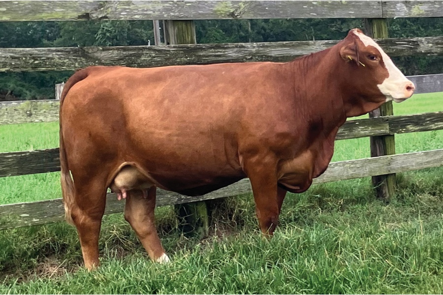 LOT 07 - MS STRACK M723