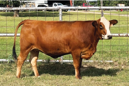 LOT 13 - PRR MAE 776M