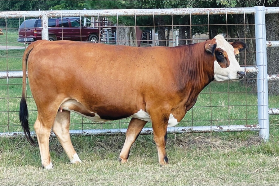 LOT 14 - PRR MINGLE 782M