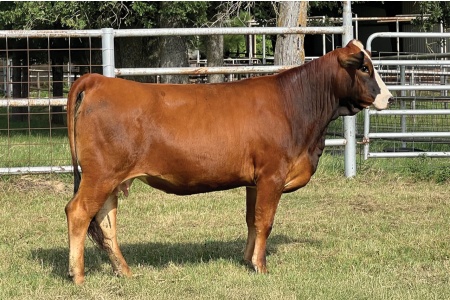 LOT 16 - PRR MARISOL 843M