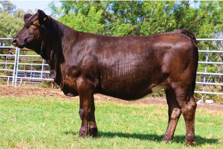 LOT 32 - LMC/JSSC TARA 125N5