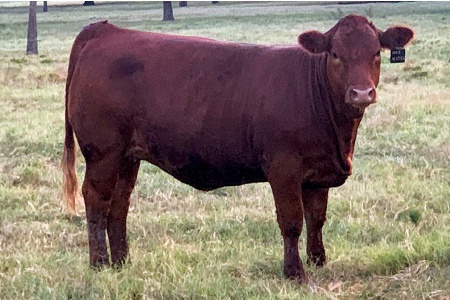 LOT 39 - 4B STORMY 57N