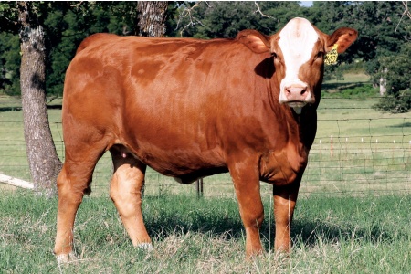 LOT 67 - SOT MILA M071