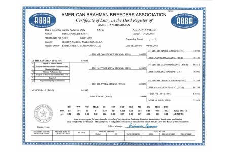 LOT 086 - MISS JS/GOODE 520/5