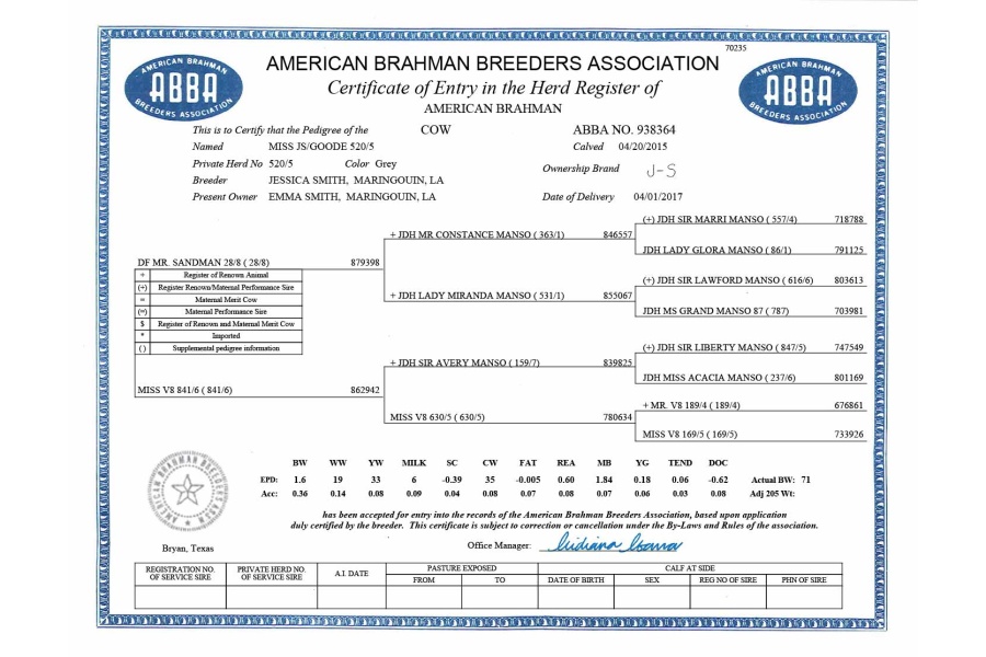 LOT 086 - MISS JS/GOODE 520/5