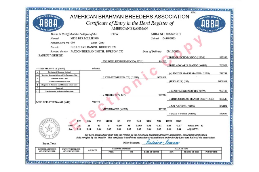 LOT 09 - MR BER ON POINT 23/1 x MISS BER MILLIE 999 - 3 SEXED EMBRYOS
