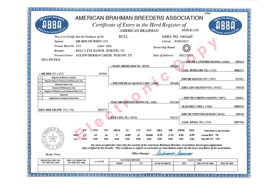 LOT 09 - MR BER ON POINT 23/1 x MISS BER MILLIE 999 - 3 SEXED EMBRYOS