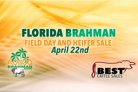 LOT 23 - CDI HOMETOWN 246A X KCC 503 OF 549-387