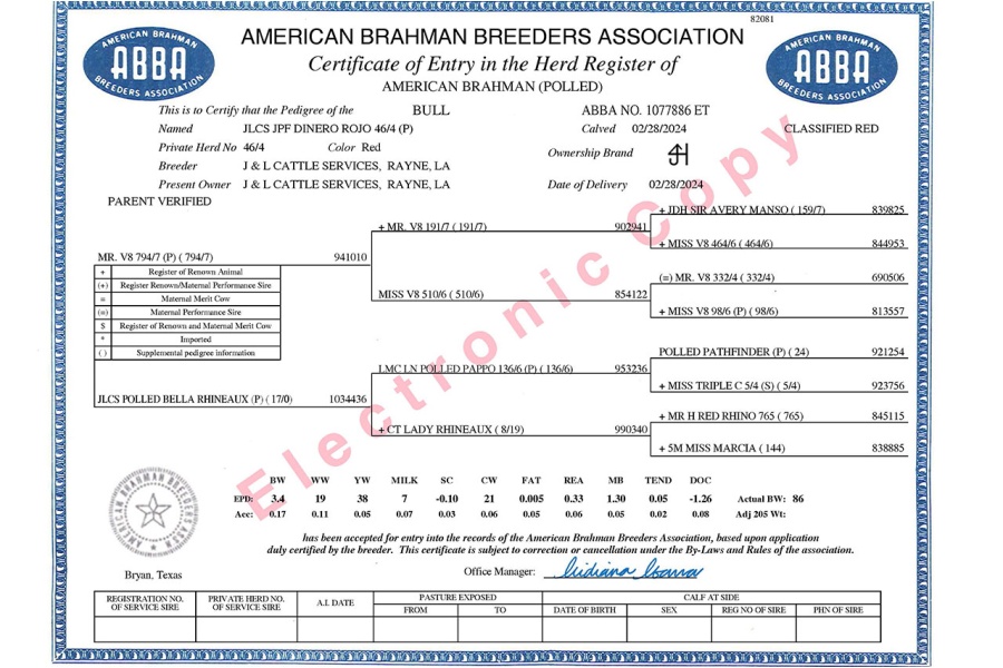 JLCS JPF DINERO ROJO 46/4 (PP) THREE STRAW POLLED CONVENTIONAL SEMEN PACKAGE - USA