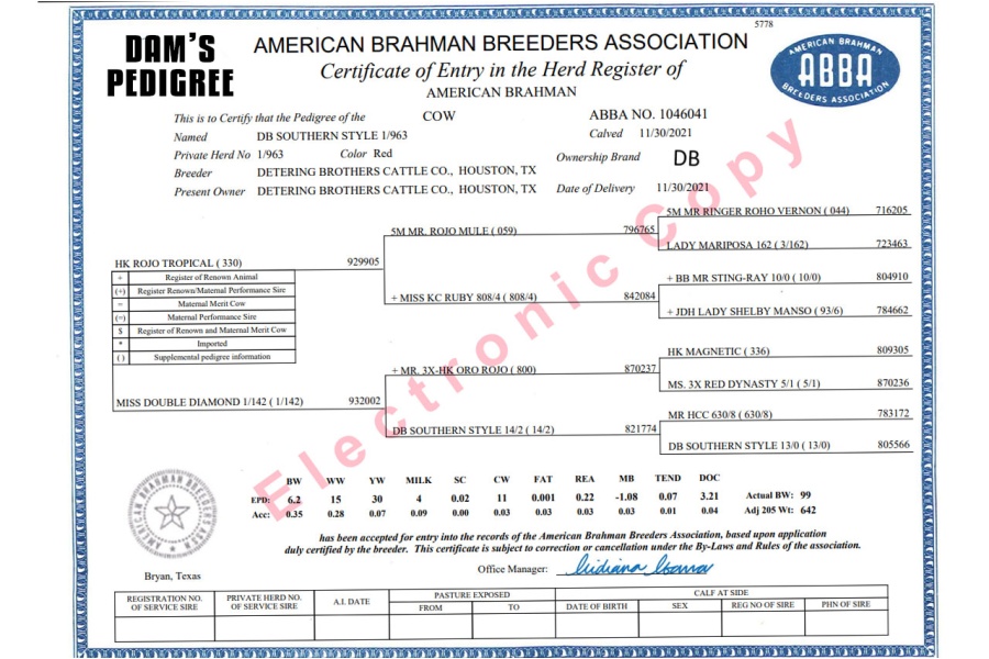 LOT 13 - F1 FEMALE 2/322