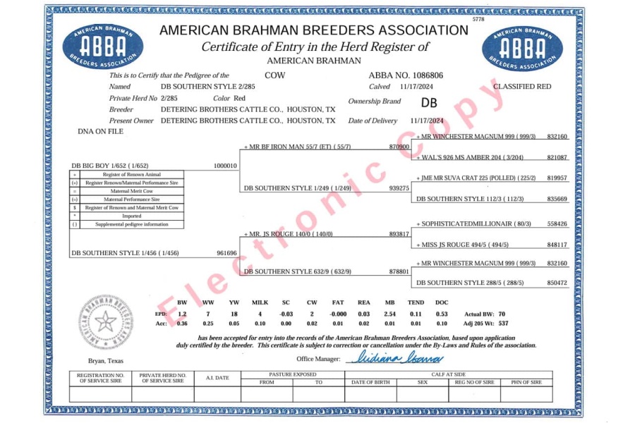LOT 05 - DB SOUTHERN STYLE 2/285