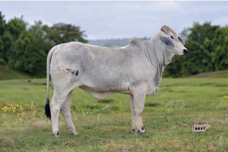 LOT 14 - MSP PRINCESS RILEY 748/1