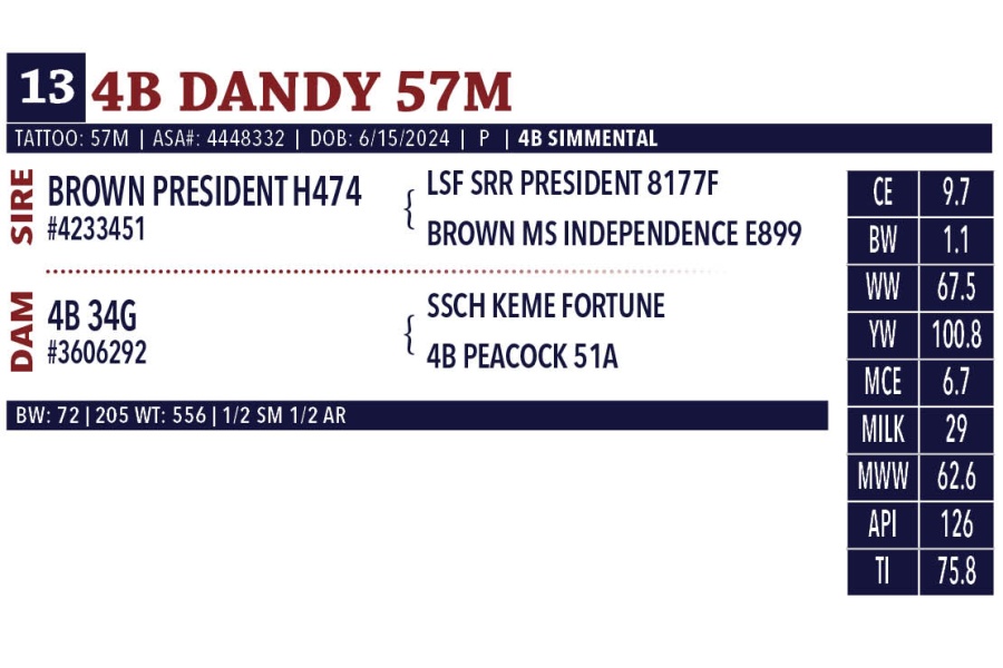 LOT 13 - 4B DANDY 57M