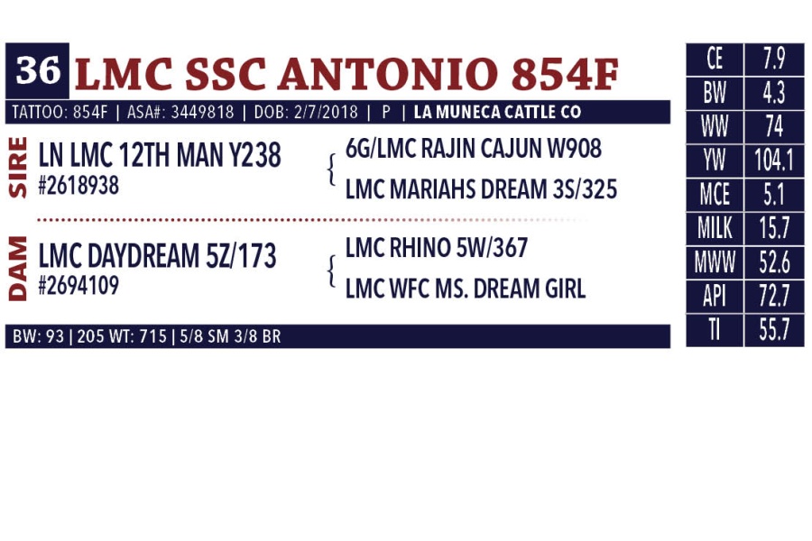 LOT 36 - LA MUNECA SEMEN PACKAGE  - FIVE (5) BULLS; TWO STRAWS EACH; TOTAL TEN (10) STRAWS