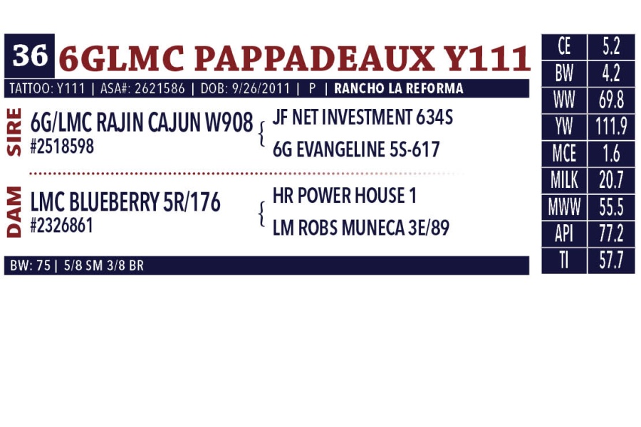 LOT 36 - LA MUNECA SEMEN PACKAGE  - FIVE (5) BULLS; TWO STRAWS EACH; TOTAL TEN (10) STRAWS