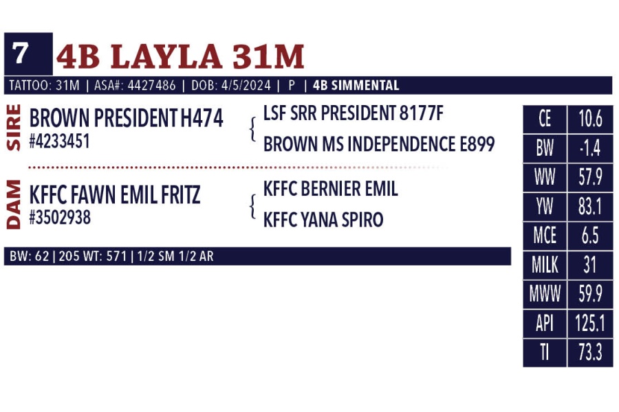 LOT 07 - 4B LAYLA 31M