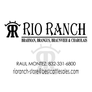RIO RANCH CATTLE STORE
