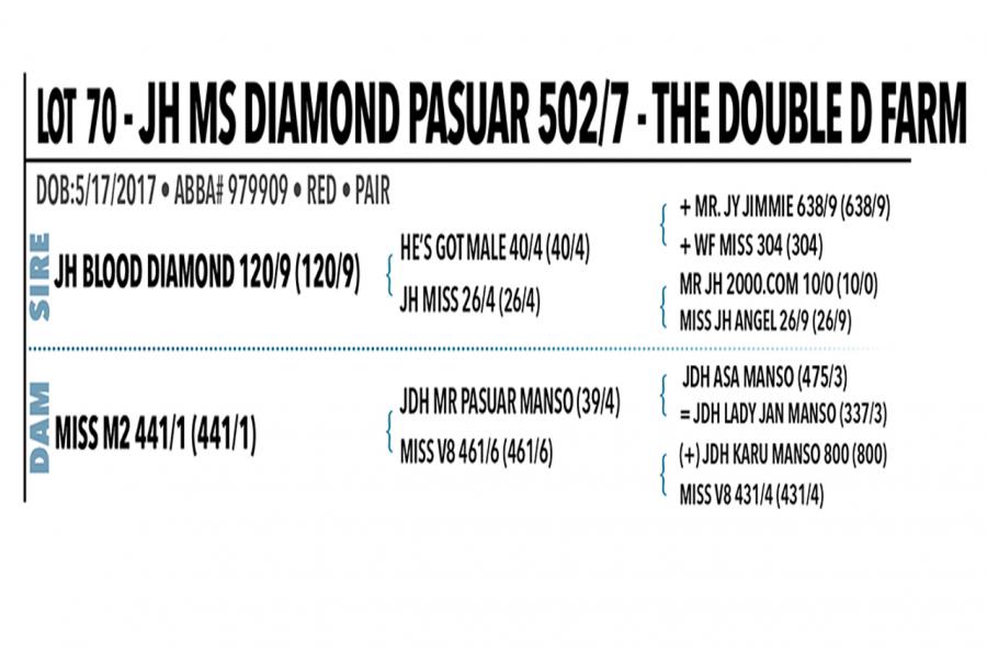 LOT 070 - JH MS DIAMOND PASUAR 502/7