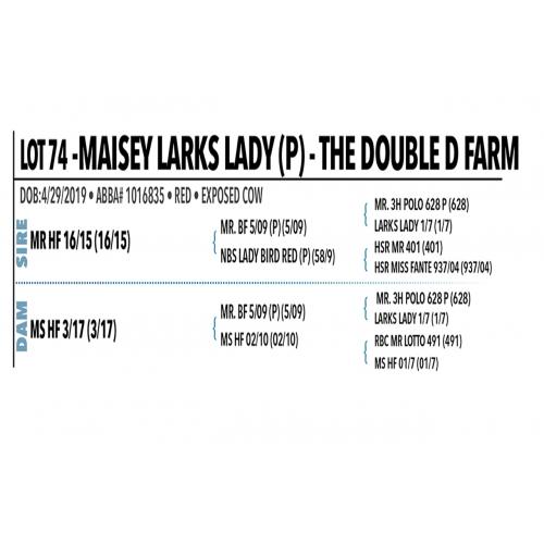LOT 074 - MAISEY LARKS LADY (P)
