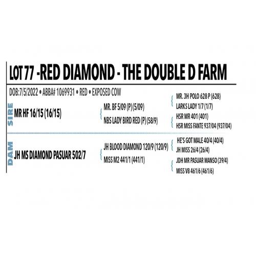 LOT 077 - RED DIAMOND