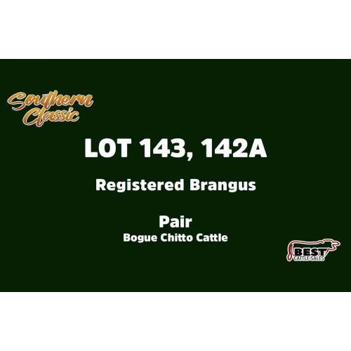 LOT 143, 142A - BOGUE CHITTO CATTLE