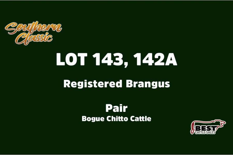 LOT 143, 142A - BOGUE CHITTO CATTLE
