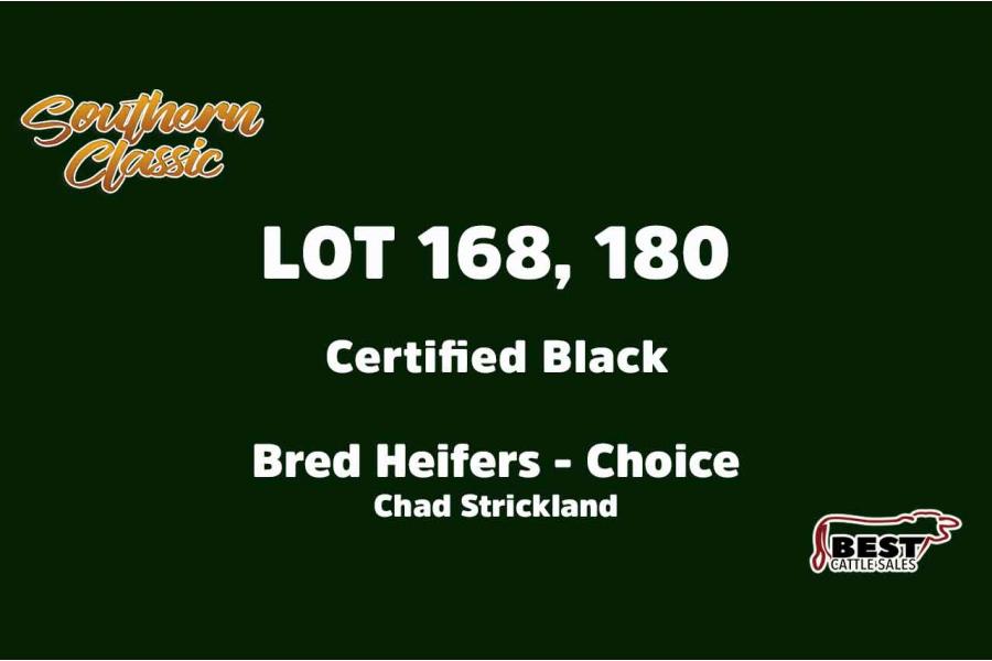 LOT 168, 180 - CHAD STRICKLAND - CHOICE OR X THE MONEY OF LOTS CHOSEN (A)
