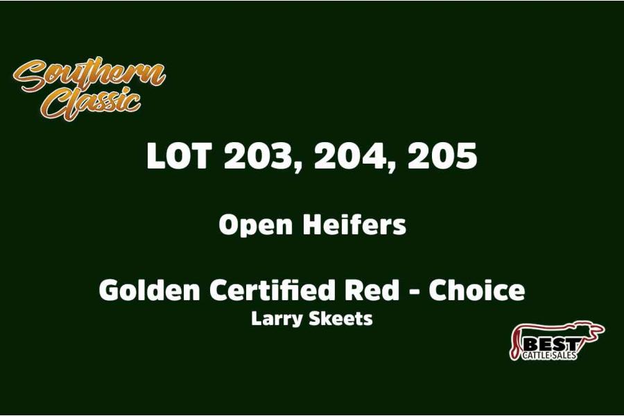 LOT 203, 204, 205 - LARRY SKEETS - CHOICE OR X THE MONEY OF LOTS CHOSEN (A)