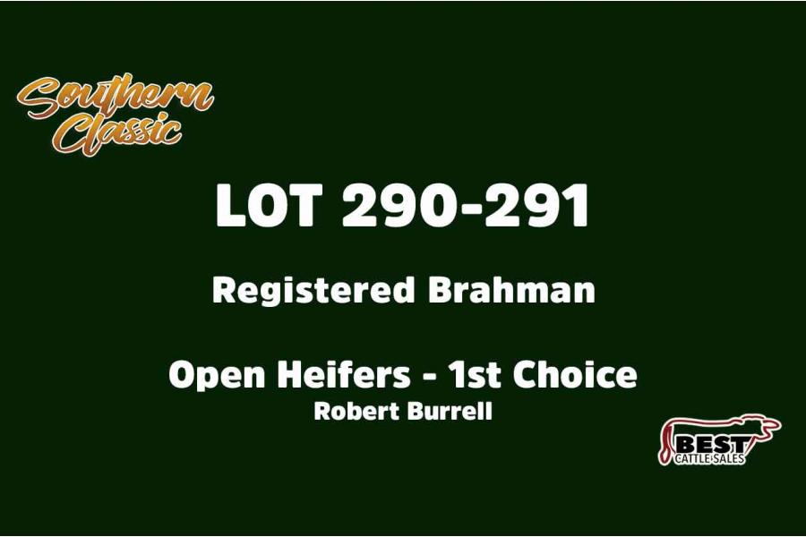 LOT 290-291 - ROBERT BURRELL - FIRST CHOICE OR X THE MONEY OF LOTS CHOSEN