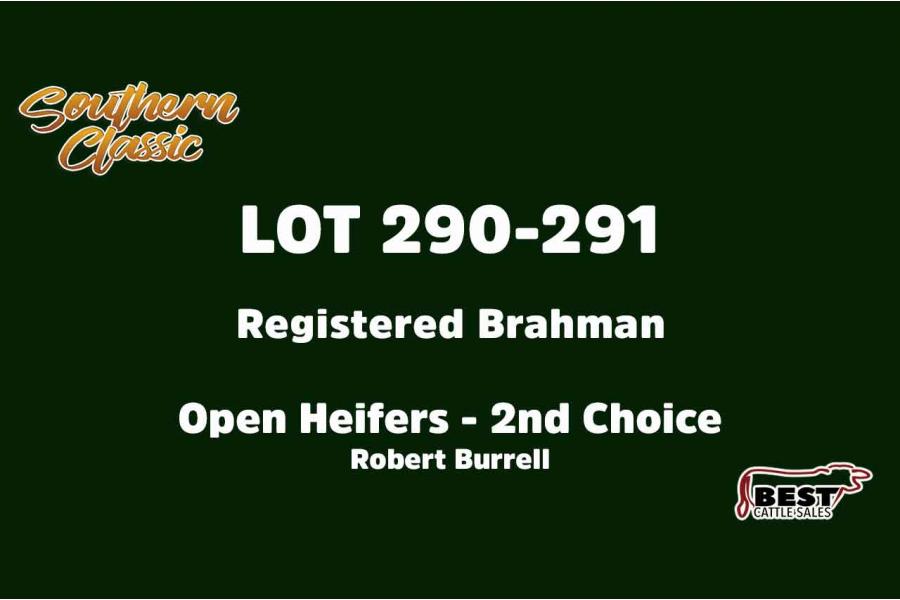 LOT 290-291 - ROBERT BURRELL - SECOND CHOICE OR X THE MONEY OF LOTS CHOSEN