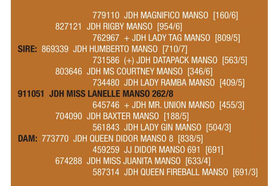 LOT 061 AND LOT 061A - JDH MISS LANELLE MANSO 262/8