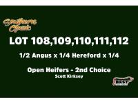 LOT 114 to 118 - SECOND CHOICE OR X THE MONEY OF LOTS CHOSEN