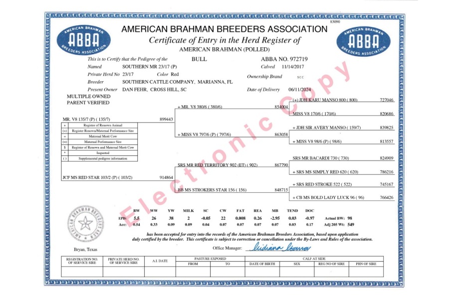 SOUTHERN MR 23/17 (P) - RED BRAHMAN CONVENTIONAL SEMEN PACKAGE - USA & WORLD-WIDE
