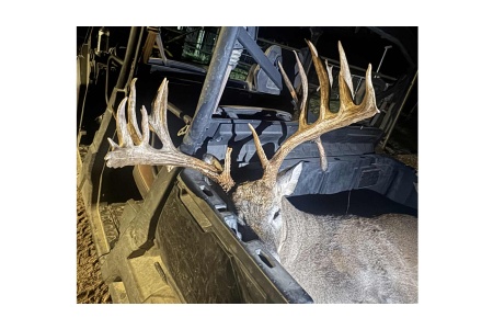 LOT 20 - TROPHY DEER HUNT AT SALINAS RANCH