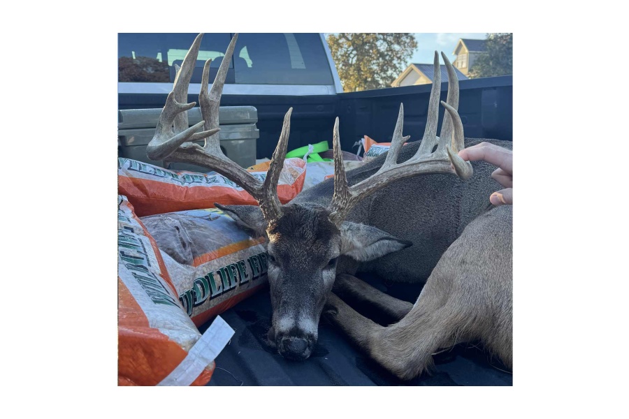 LOT 20 - TROPHY DEER HUNT AT SALINAS RANCH