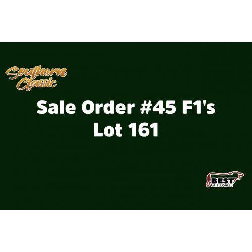 SALE ORDER 45 - F1's - LOT 161