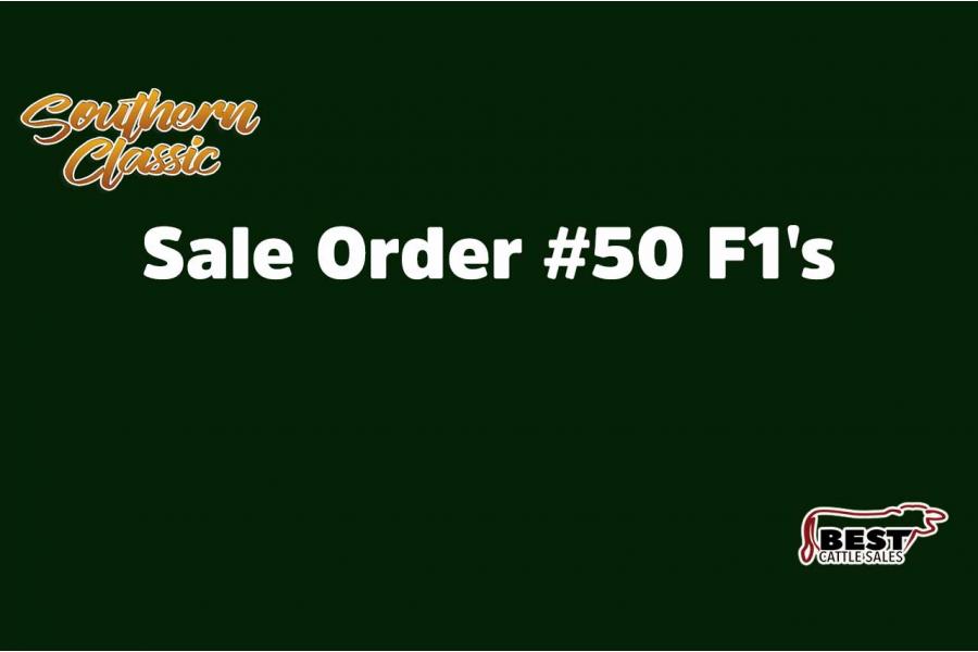 SALE ORDER 50 - F1's