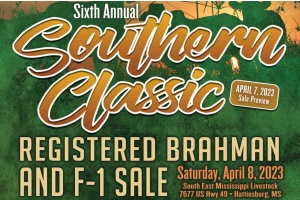 6TH SOUTHERN CLASSIC REGISTERED BRAHMAN AND F1 SALE
