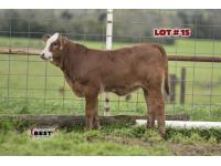 LOT #15 - PENDING WITH REGISTER #242