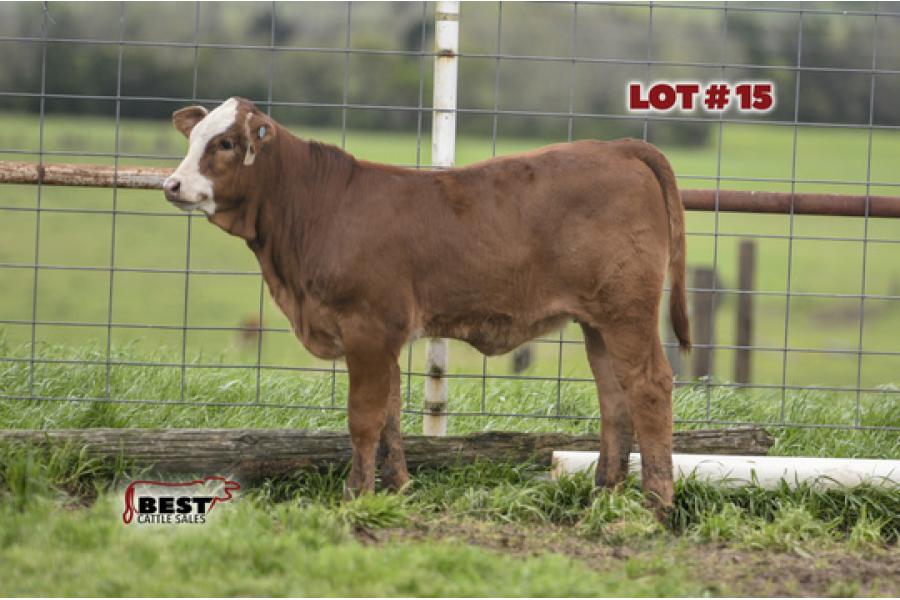 LOT #15 - PENDING WITH REGISTER #242