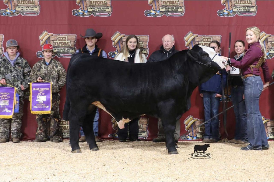 V-F JLCS MR. BIRD MAN H166 - HOMOZYGOUS POLLED SIMBRAH - CONVENTIONAL SEMEN PACKAGE - USA ONLY