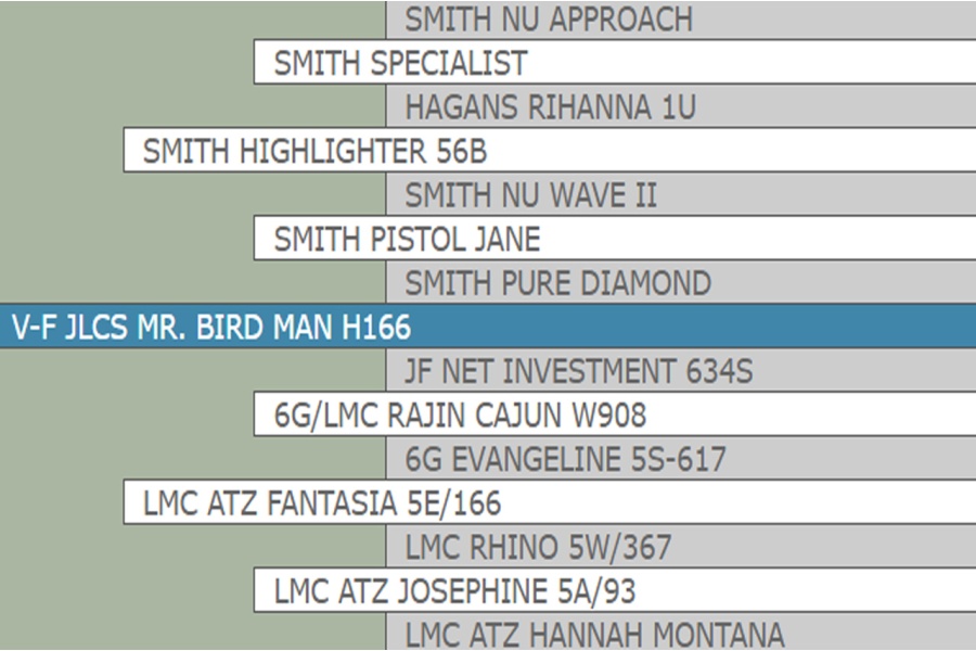 V-F JLCS MR. BIRD MAN H166 - HOMOZYGOUS POLLED SIMBRAH - CONVENTIONAL SEMEN PACKAGE - USA ONLY