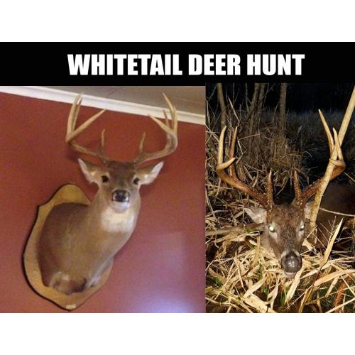 LOT 64 - STEIB OILFIELD SERVICES - SOUTH LOUISIANA WHITETAIL DEER HUNT