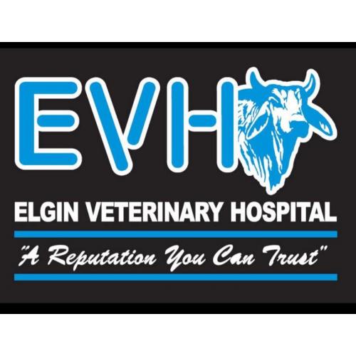 LOT 63 - ELGIN VETERINARY HOSPITAL - DR. GARY WARNER- $250 VETERINARIAN SERVICE